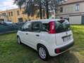 Fiat Panda Panda 1.2 Easy UNICO PROPRIETARIO Blanco - thumbnail 5
