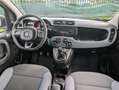 Fiat Panda Panda 1.2 Easy UNICO PROPRIETARIO Blanco - thumbnail 10