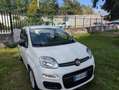 Fiat Panda Panda 1.2 Easy UNICO PROPRIETARIO Blanco - thumbnail 1