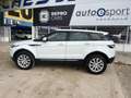 Land Rover Range Rover Evoque 2.2L TD4 Pure 4x4 Aut. Blanc - thumbnail 7