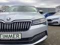 Skoda Superb Combi 2.0 TDI DSG Style Silber - thumbnail 6