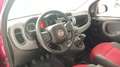 Fiat Panda Panda III 1.2 69cv E6*NEOPATENTATI*IVA DETRAIBILE Rot - thumbnail 8