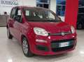 Fiat Panda Panda III 1.2 69cv E6*NEOPATENTATI*IVA DETRAIBILE Rot - thumbnail 3