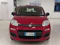 Fiat Panda Panda III 1.2 69cv E6*NEOPATENTATI*IVA DETRAIBILE Rot - thumbnail 2