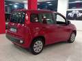 Fiat Panda Panda III 1.2 69cv E6*NEOPATENTATI*IVA DETRAIBILE Rot - thumbnail 5