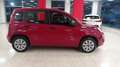 Fiat Panda Panda III 1.2 69cv E6*NEOPATENTATI*IVA DETRAIBILE Rot - thumbnail 4