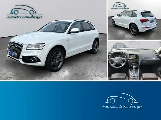 Audi Q5 2.0 TDI Quattro ACC Pano STHZ SHZ 3-Zklima