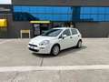 Fiat Punto 5p 1.3 mjt Street S&S White - thumbnail 1