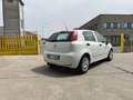 Fiat Punto 5p 1.3 mjt Street S&S White - thumbnail 5