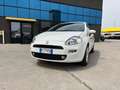 Fiat Punto 5p 1.3 mjt Street S&S White - thumbnail 13