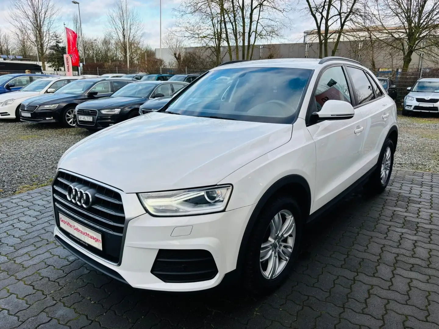 Audi Q3 1.4 -Autom.-Klima-Sitzh.-NaviXenon-Allwetter- Weiß - 2