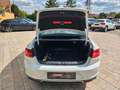 Volkswagen Passat Lim. Highline BMT/Start-Stopp 4Motion Weiß - thumbnail 25