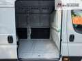 Fiat Ducato Ducato Maxi 35 | Serie 2 | L4H2 180 AT | Sofort Grey - thumbnail 8