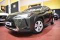 Lexus UX 250h Executive 2WD Verde - thumbnail 9