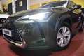 Lexus UX 250h Executive 2WD Verde - thumbnail 8