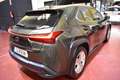 Lexus UX 250h Executive 2WD Verde - thumbnail 14