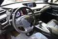 Lexus UX 250h Executive 2WD Verde - thumbnail 20