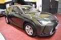 Lexus UX 250h Executive 2WD Verde - thumbnail 12