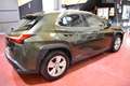 Lexus UX 250h Executive 2WD Verde - thumbnail 13