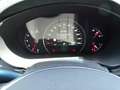 Kia Sorento 2.2 CDI GT-Line 4WD 7 Sitzer White - thumbnail 14