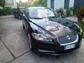 Jaguar XF XF 3.0d V6 Premium Luxury auto Grigio - thumbnail 3