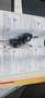 Volkswagen Polo 1.4 Comfortline Grijs - thumbnail 18