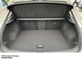 Volkswagen T-Roc 1.0 TSI Life LED   Park Assist   SHZ   Lane Assist Grau - thumbnail 8