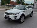 Land Rover Range Rover Evoque Pure Schwarz - thumbnail 2