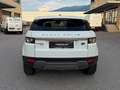 Land Rover Range Rover Evoque Pure Schwarz - thumbnail 6