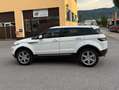 Land Rover Range Rover Evoque Pure Schwarz - thumbnail 5