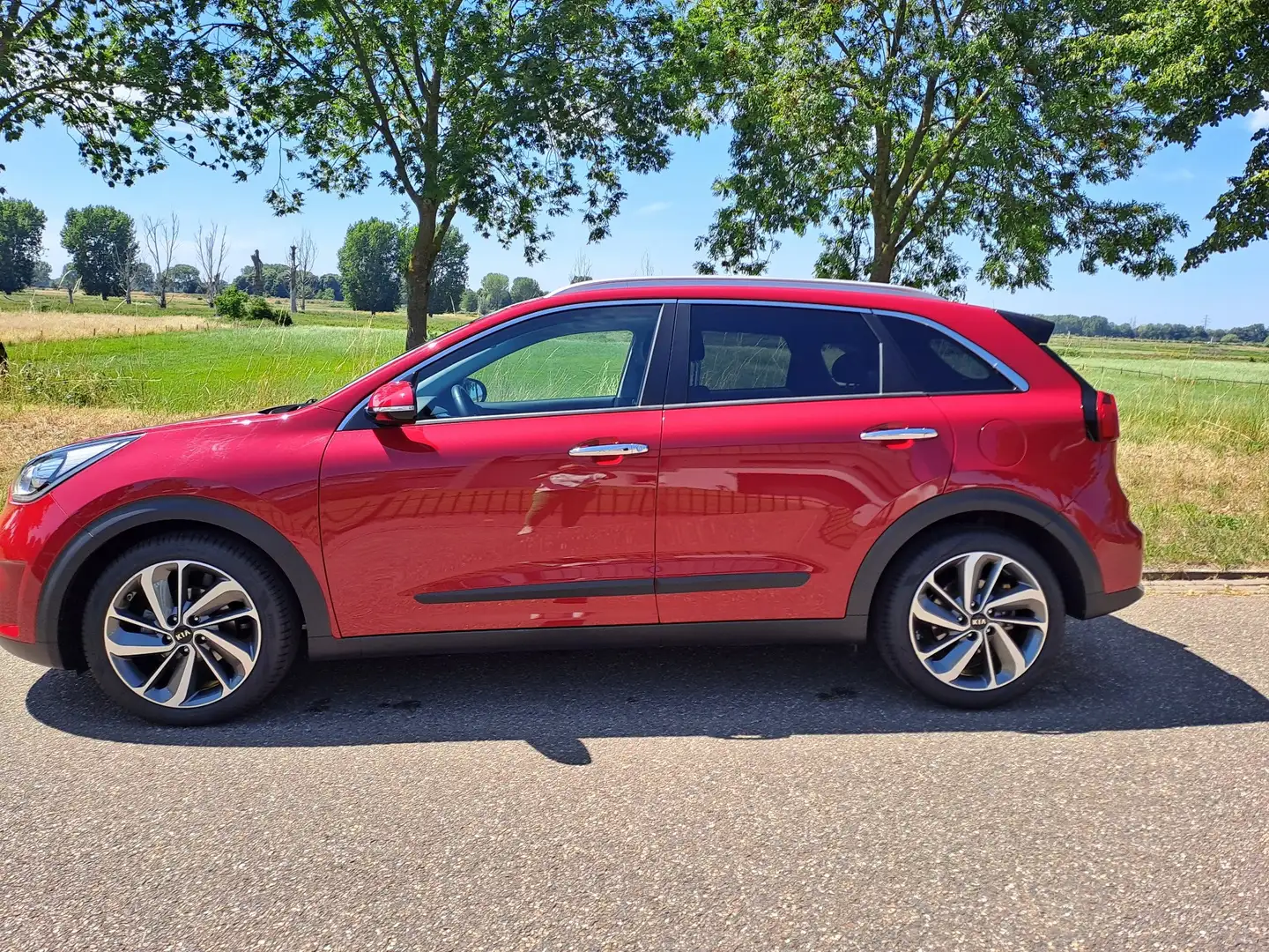 Kia Niro 1.6 GDi H. Execut.L Czerwony - 1