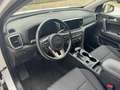Kia Sportage 1.6 CRDI 136 CV DCT7 2WD Mild Hybrid Business Clas Bianco - thumbnail 6