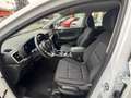 Kia Sportage 1.6 CRDI 136 CV DCT7 2WD Mild Hybrid Business Clas Bianco - thumbnail 5