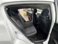 Kia Sportage 1.6 CRDI 136 CV DCT7 2WD Mild Hybrid Business Clas Bianco - thumbnail 10
