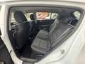 Kia Sportage 1.6 CRDI 136 CV DCT7 2WD Mild Hybrid Business Clas Bianco - thumbnail 11