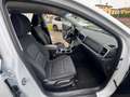 Kia Sportage 1.6 CRDI 136 CV DCT7 2WD Mild Hybrid Business Clas Bianco - thumbnail 7
