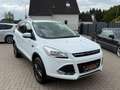 Ford Kuga Trend 1.5 EcoBoost-AHK-LM17-PDC-1 Hand Blanc - thumbnail 17