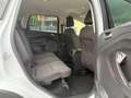 Ford Kuga Trend 1.5 EcoBoost-AHK-LM17-PDC-1 Hand Blanc - thumbnail 13