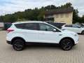 Ford Kuga Trend 1.5 EcoBoost-AHK-LM17-PDC-1 Hand Blanc - thumbnail 15