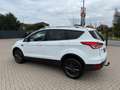 Ford Kuga Trend 1.5 EcoBoost-AHK-LM17-PDC-1 Hand Blanc - thumbnail 18