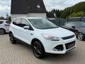 Ford Kuga Trend 1.5 EcoBoost-AHK-LM17-PDC-1 Hand Blanc - thumbnail 2