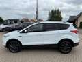 Ford Kuga Trend 1.5 EcoBoost-AHK-LM17-PDC-1 Hand Blanc - thumbnail 14