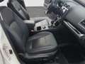 Subaru OUTBACK 2.5i Lineartronic Premium 4WD GPL Weiß - thumbnail 18