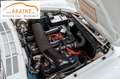 Alfa Romeo Spider Duetto Spider 1.6 109PS restauriert Hardtop Weiß - thumbnail 17