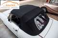 Alfa Romeo Spider Duetto Spider 1.6 109PS restauriert Hardtop Weiß - thumbnail 18