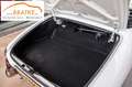 Alfa Romeo Spider Duetto Spider 1.6 109PS restauriert Hardtop Weiß - thumbnail 14
