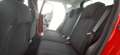 Ford Fiesta Fiesta VII 2017 5p 5p 1.5 ecoblue Plus 85cv my19.5 Rosso - thumbnail 9