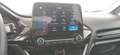 Ford Fiesta Fiesta VII 2017 5p 5p 1.5 ecoblue Plus 85cv my19.5 Rosso - thumbnail 14