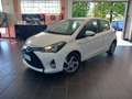 Toyota Yaris Yaris 5p 1.5h Active my16 Blanc - thumbnail 1