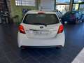 Toyota Yaris Yaris 5p 1.5h Active my16 Blanc - thumbnail 7